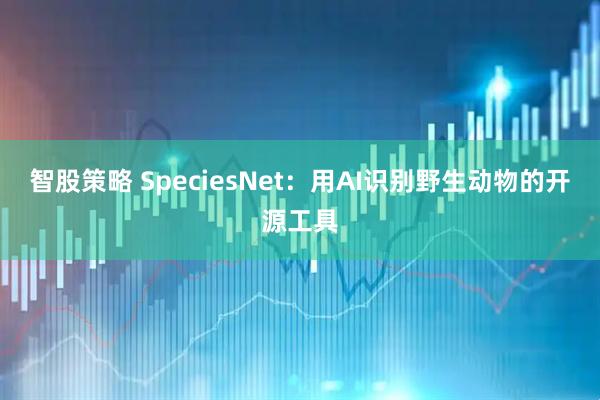 智股策略 SpeciesNet：用AI识别野生动物的开源工具