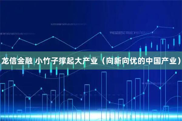龙信金融 小竹子撑起大产业（向新向优的中国产业）